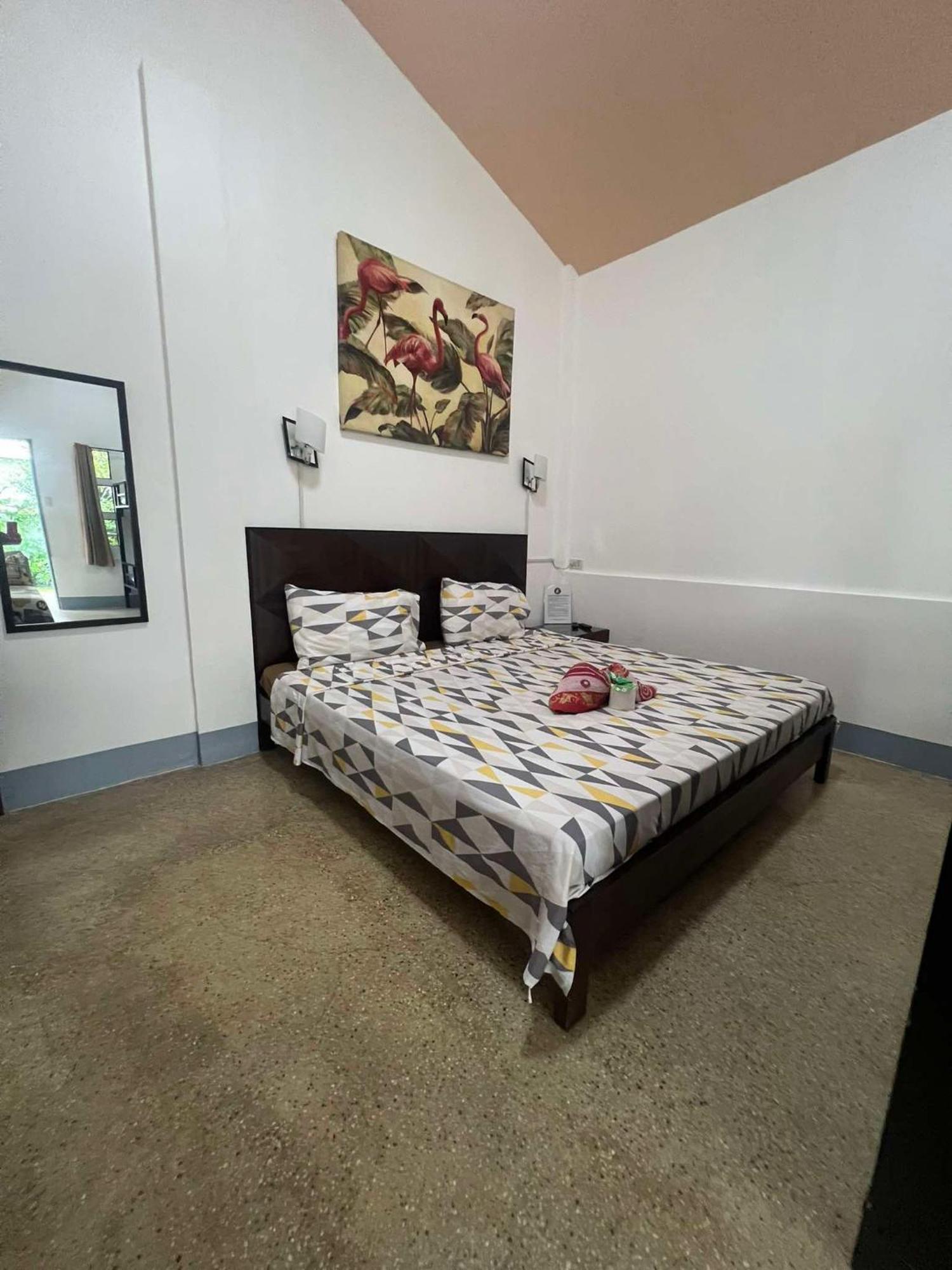 Ice Bear Bar & Tourist Inn Dauis Chambre photo