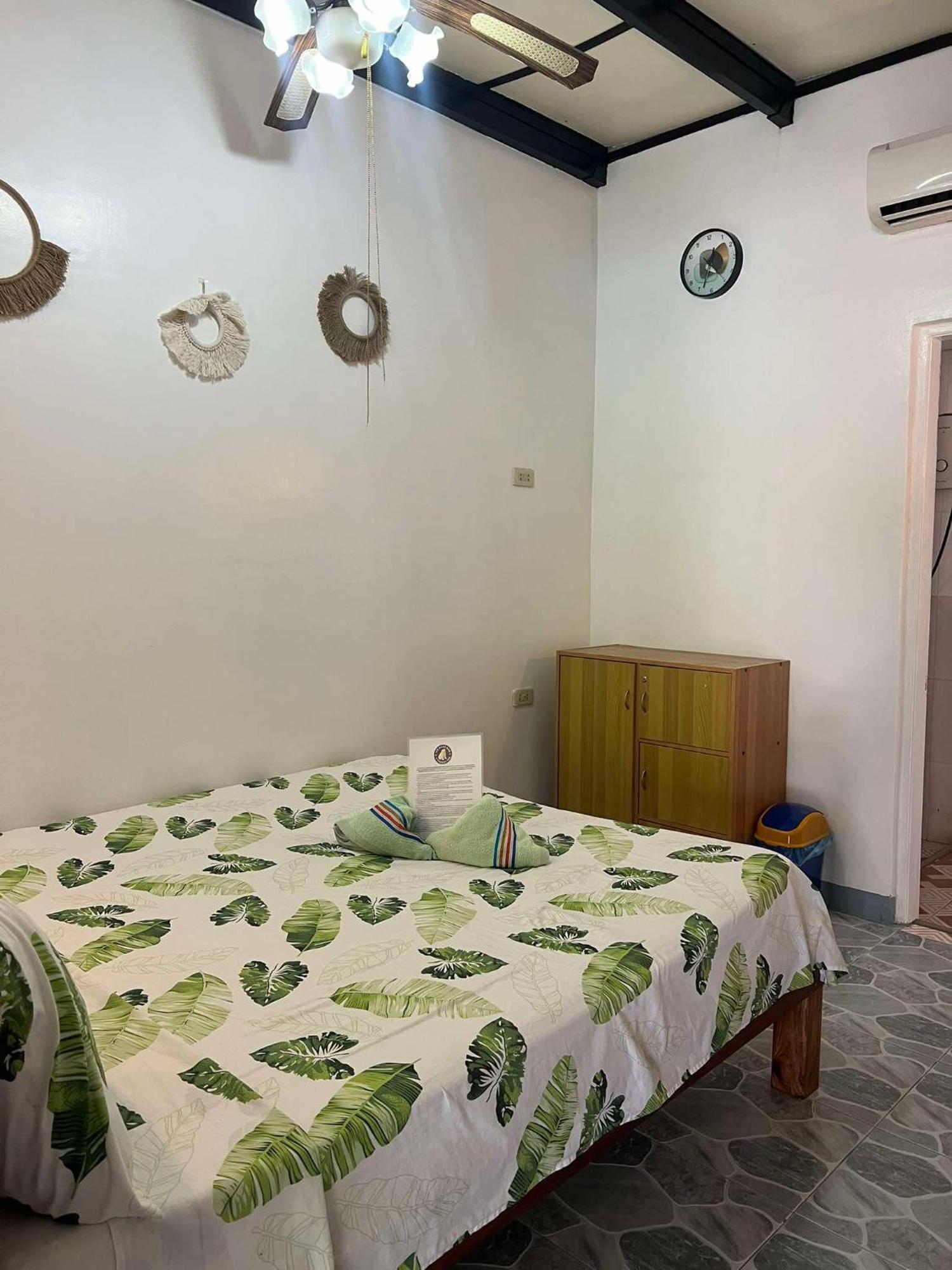 Ice Bear Bar & Tourist Inn Dauis Chambre photo